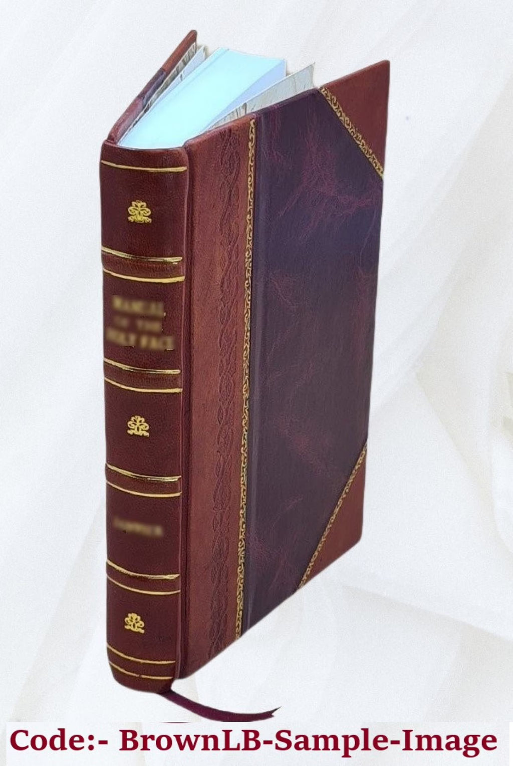Leather Bound Book Q456682