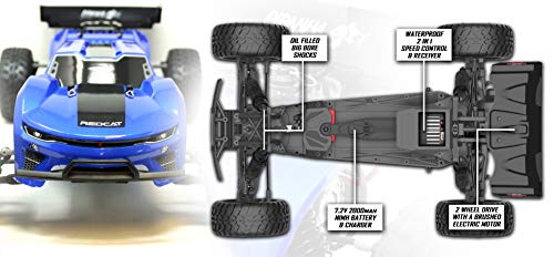 Blue Truggy R50252