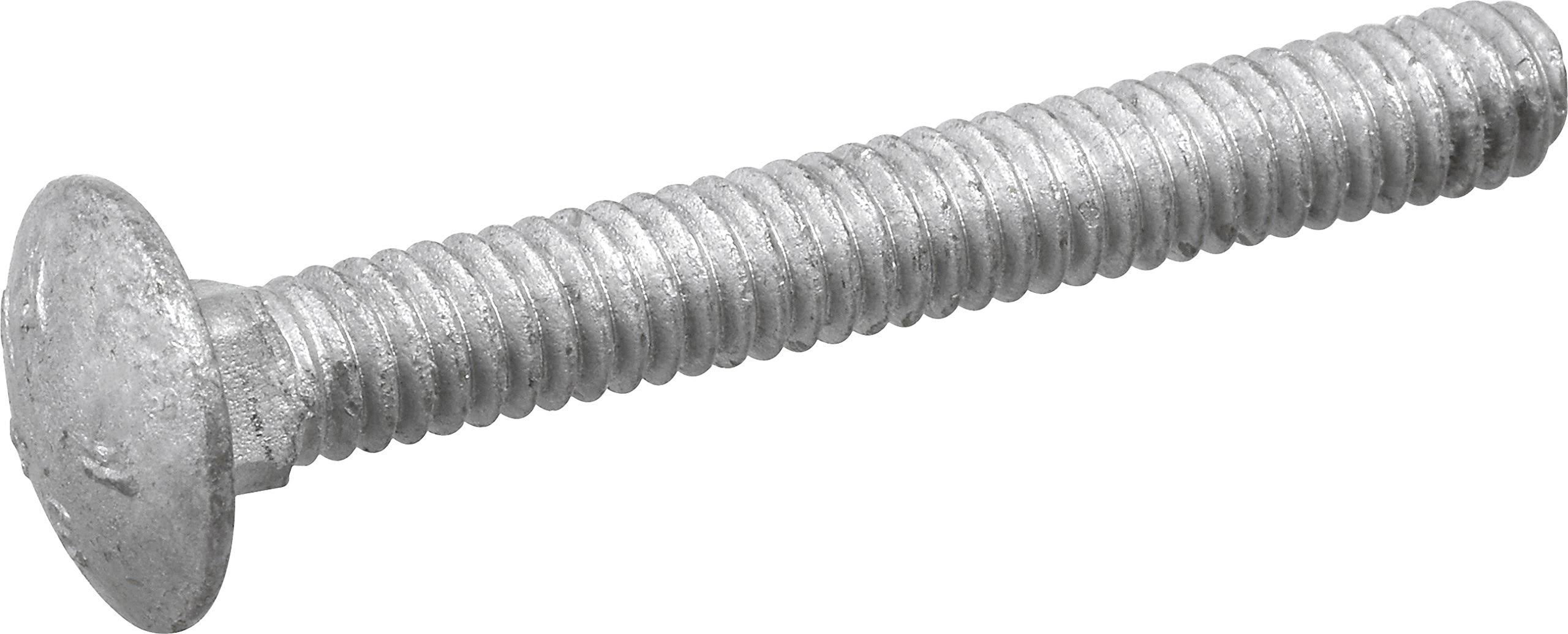 Hot Dipped Galvanized Carriage Bolt, 1/2 x 16-Inch, Silver, 25-Pack X3025