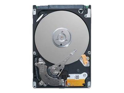 Internal Hard Drive 2000 GB SAS P369036