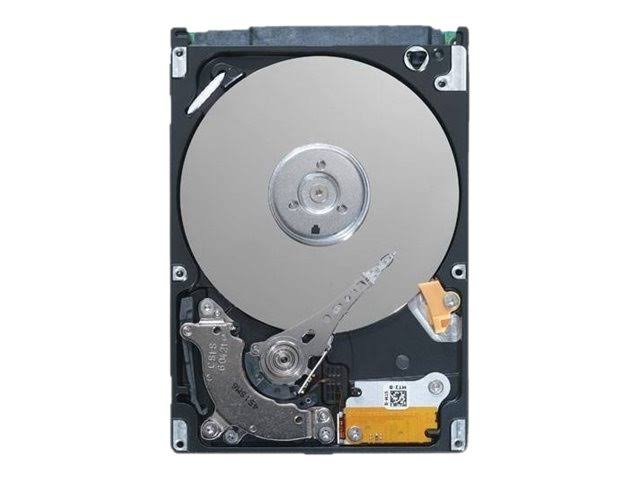 Internal Hard Drive 2000 GB SAS P369036