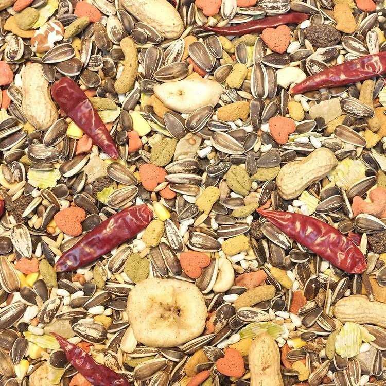 Parrot Food Y9231