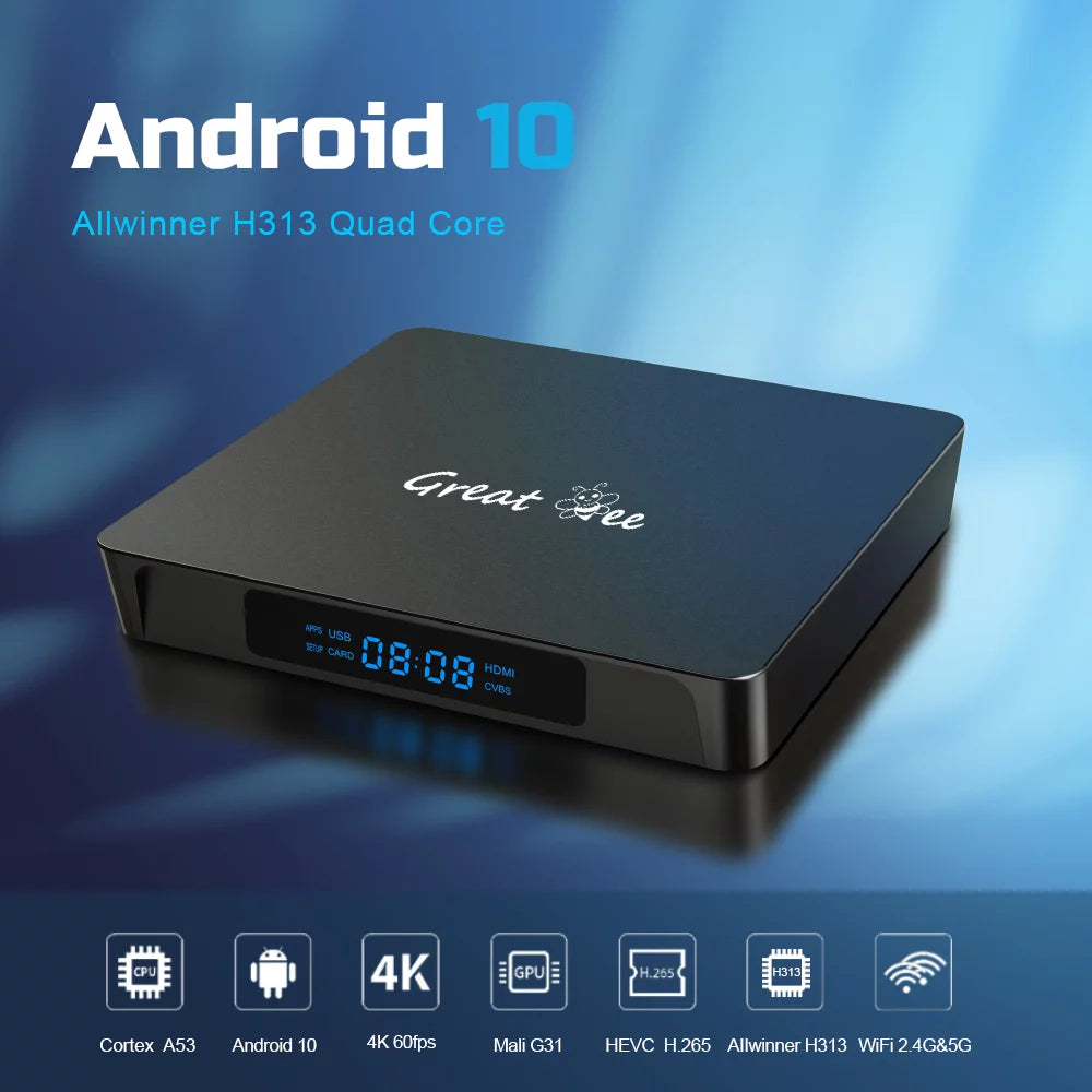 Arabic TV Box Android 10 Quad Core 4K Smart IP Television Receiver G832649