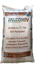 50 lbs. Turf Type Tall Fescue Grass Seeds R4958