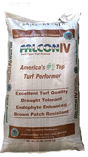 50 lbs. Turf Type Tall Fescue Grass Seeds R4958