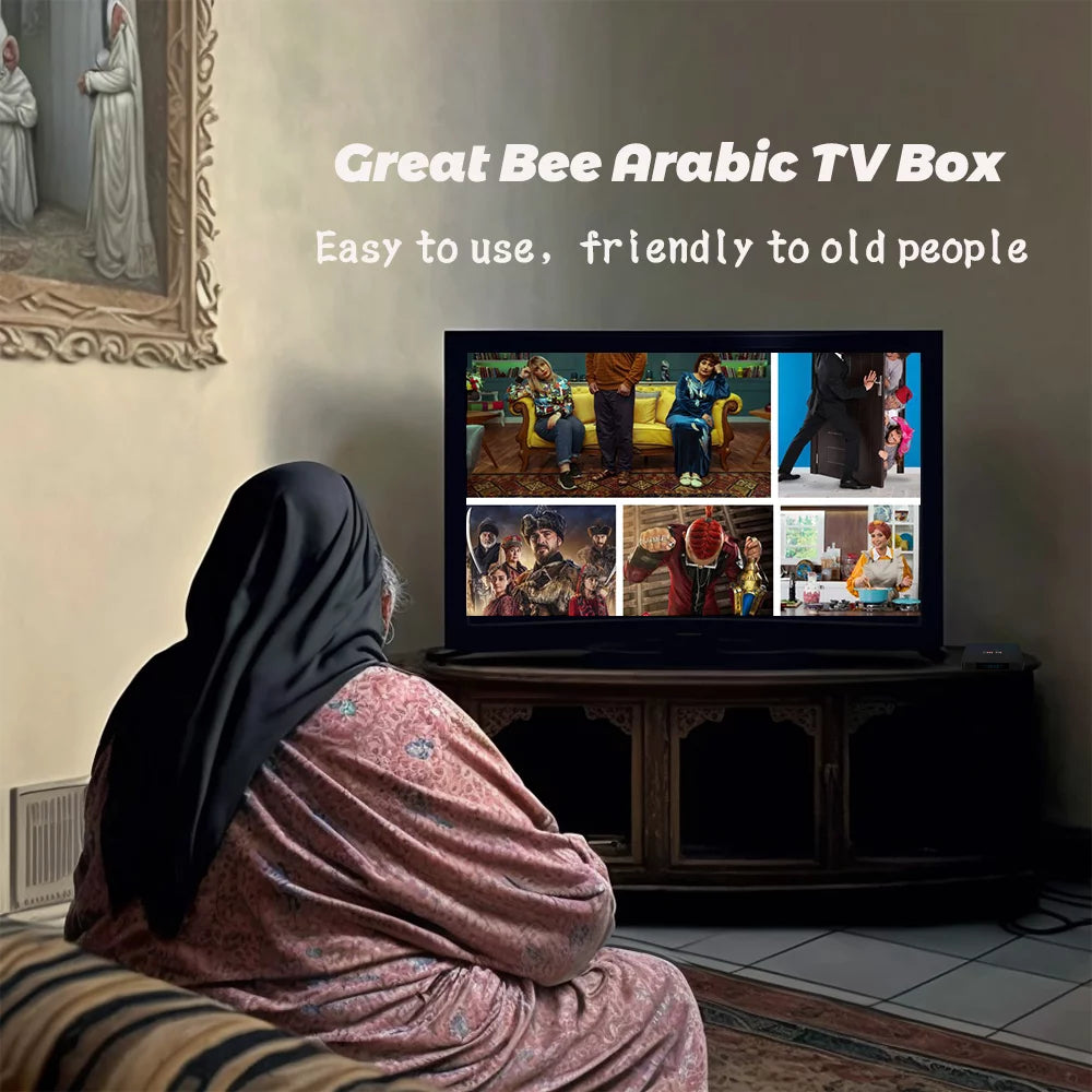 Arabic TV Box Android 10 Quad Core 4K Smart IP Television Receiver G832649