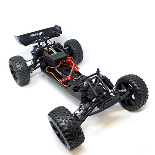 Blue Truggy R50252