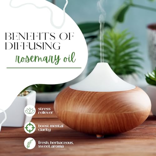16 fl oz Rosemary Essential Oil, Aluminum Bottle C794