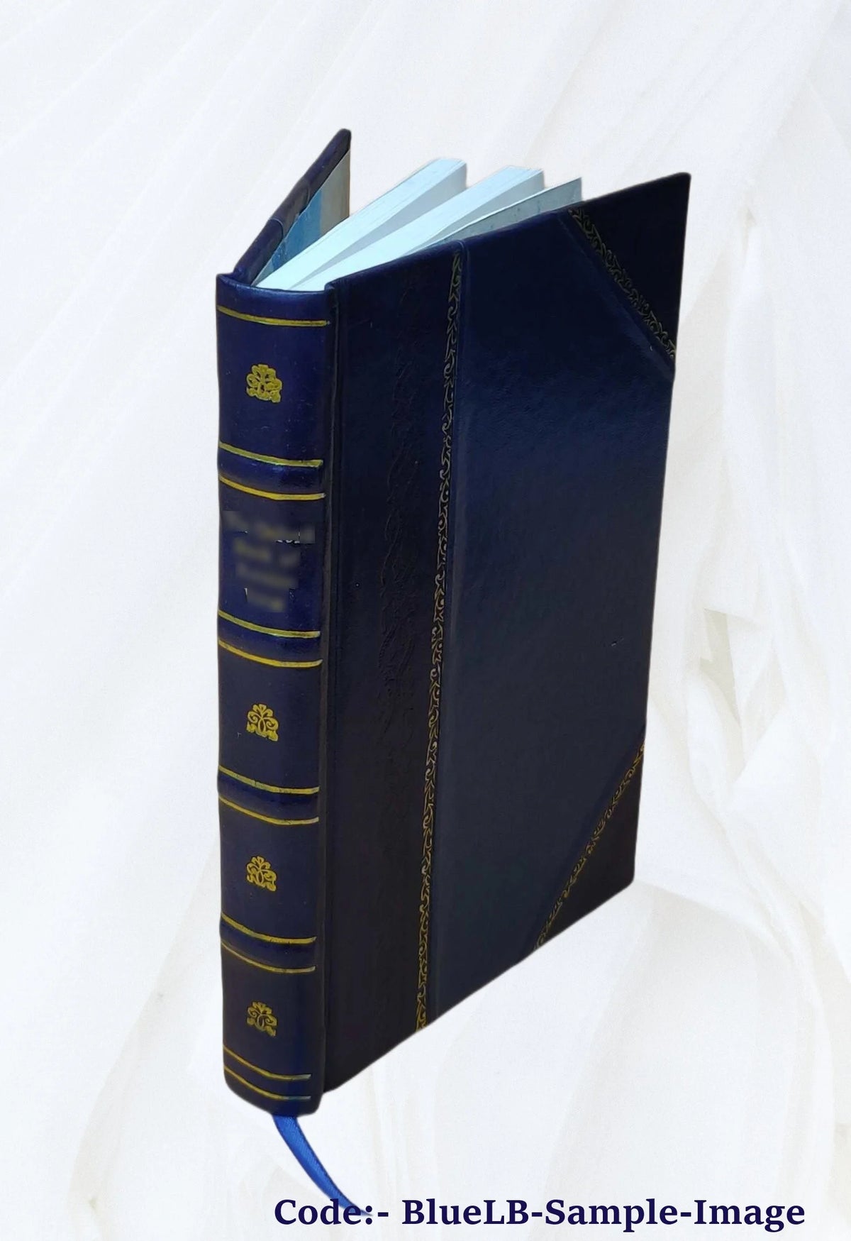 Leather Bound Book Q456682