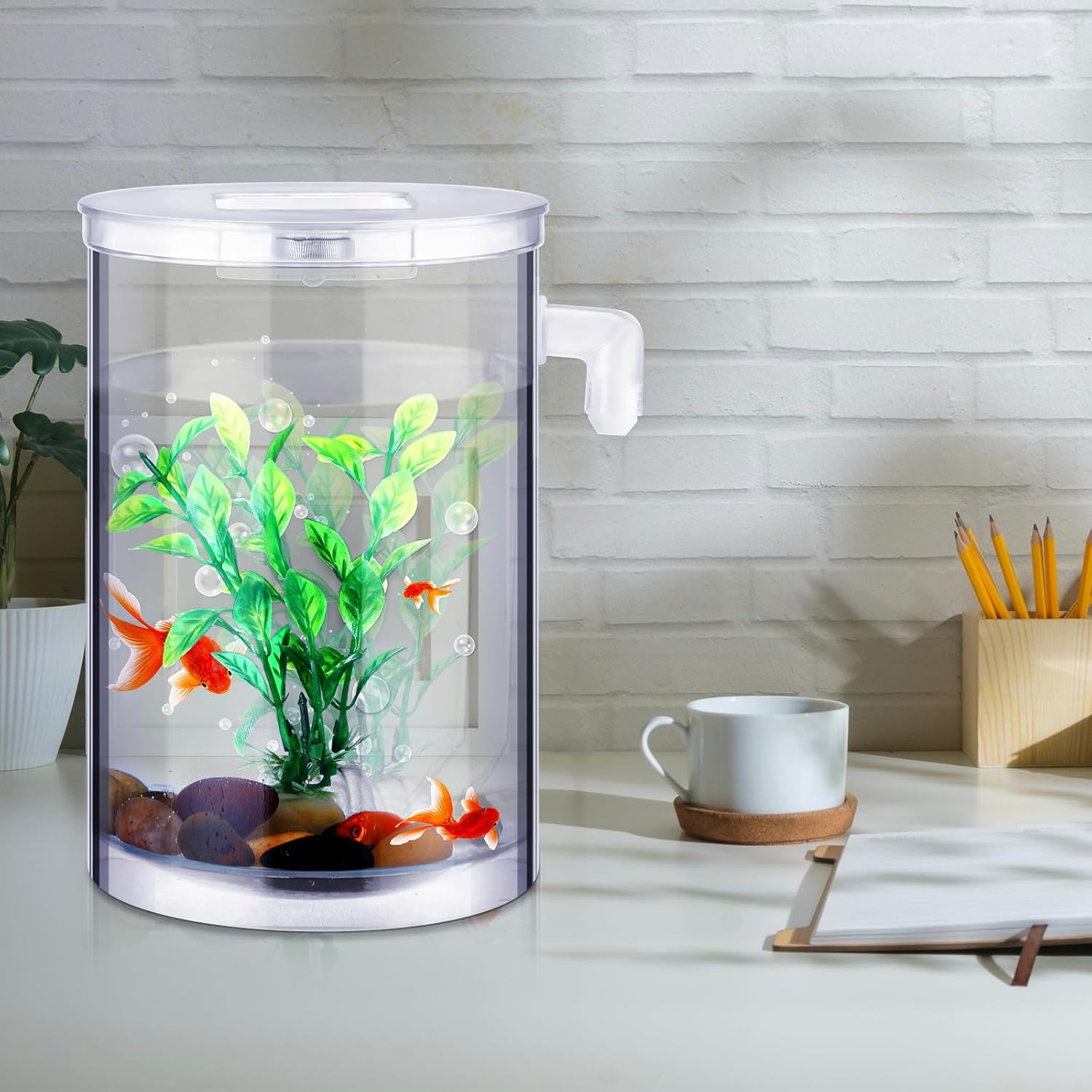 2 Pack 1 Gallon Self Cleaning Fish Tank Starter Kit T177456