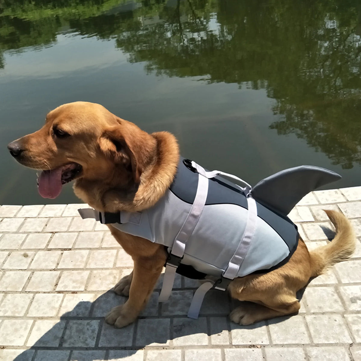 Dog Pet Shark Swimsuit Vest Safety Wear Swimsuit Preserver P23184