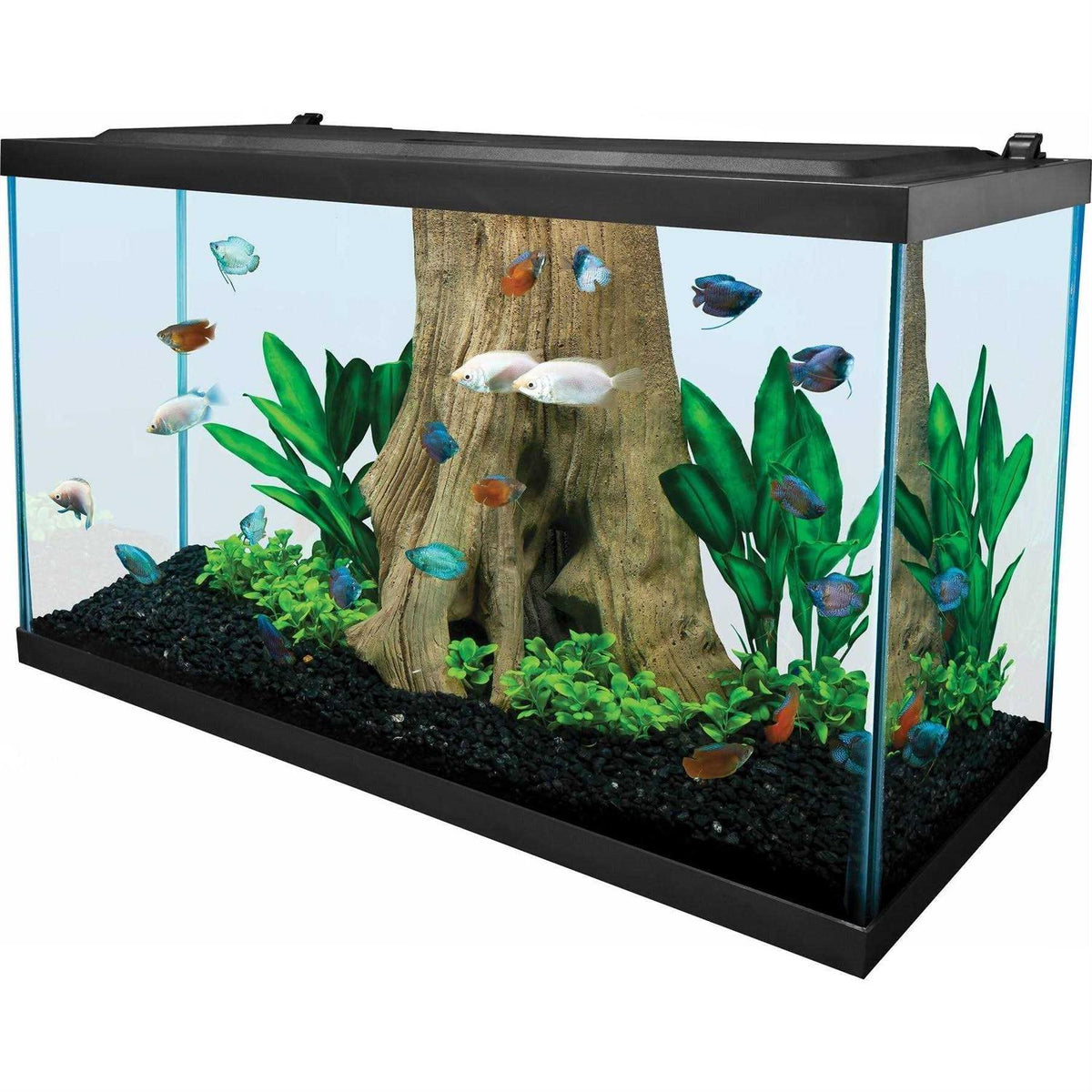 29 Gallons Glass Aquarium F513