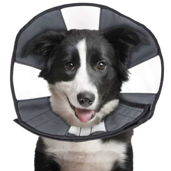 Soft Recovery Collar O8934