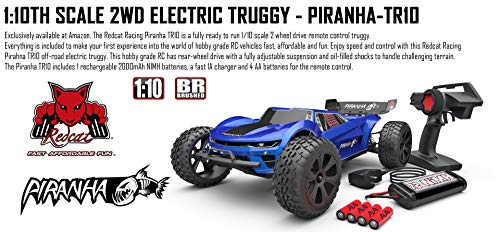 Blue Truggy R50252