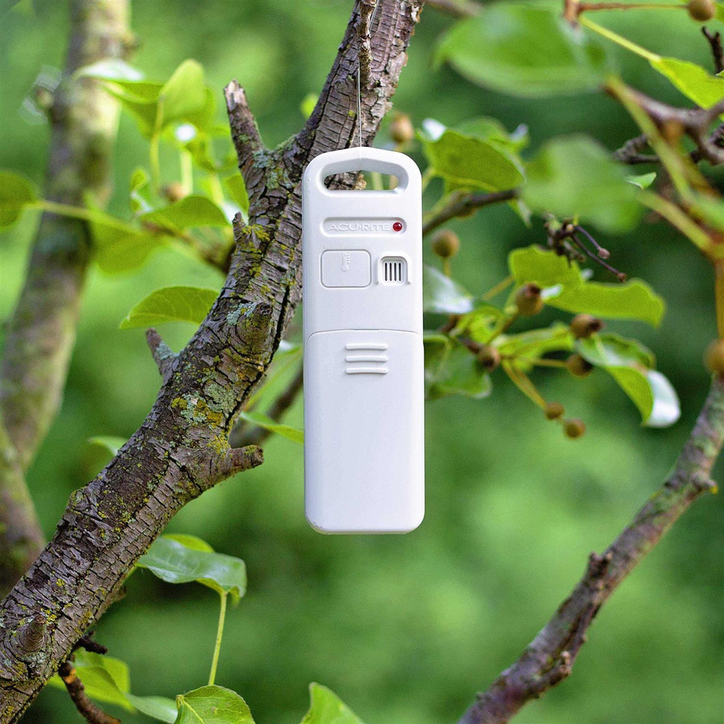 Wireless Indoor Outdoor Temperature and Humidity Sensor T873669