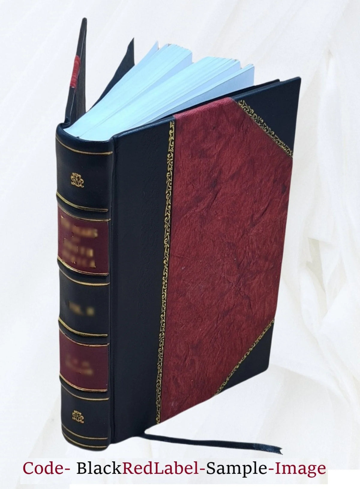 Leather Bound Book Q456682